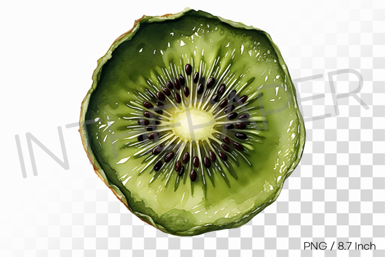 Kiwi Png Image 21
