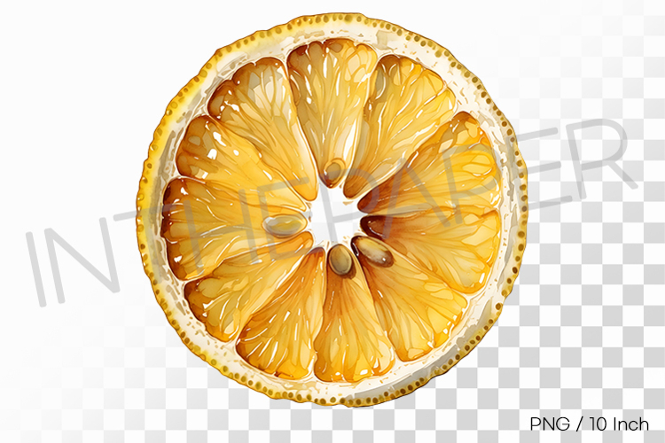 Wheel Clipart