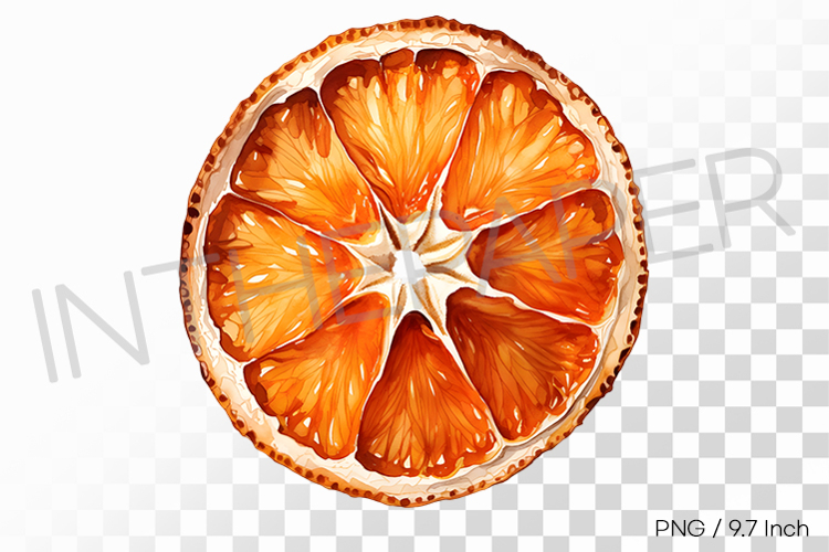 Wheel Clipart Image 23