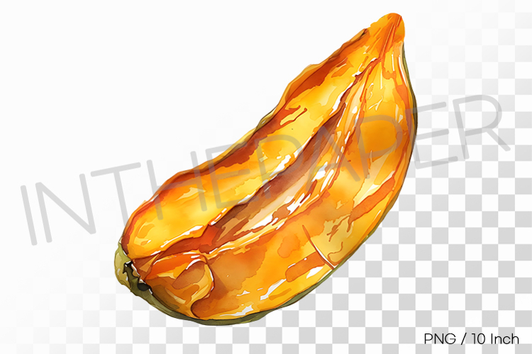 Mango Png Image 19