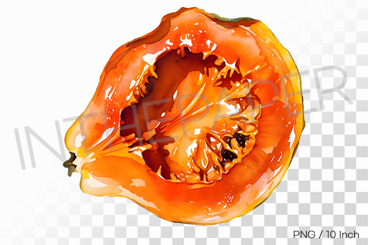 Tropical Orange Dehydrated Papaya PNG Fruit Clipart Illust