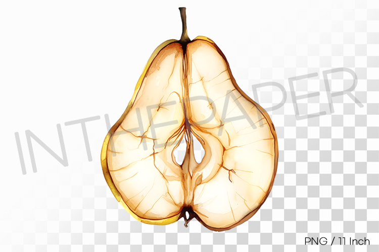 Elegant Silhouette Dehydrated Pear PNG Fruit Clipart Illust
