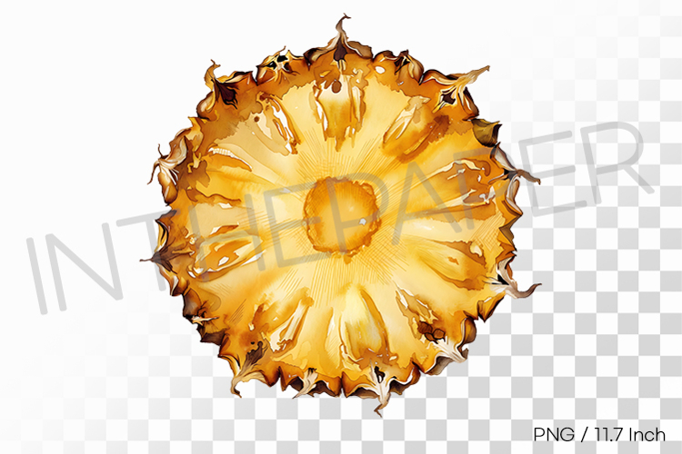 Wheel Clipart Image 21