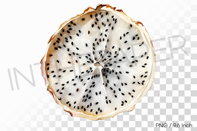Black Seeded Dehydrated White Dragon Fruit PNG Fruit Clipart