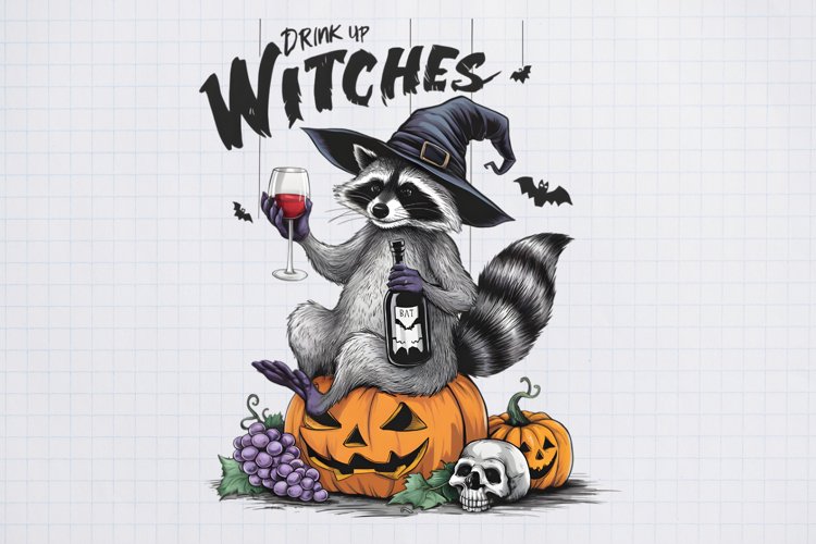 Raccoon Clipart Image 21