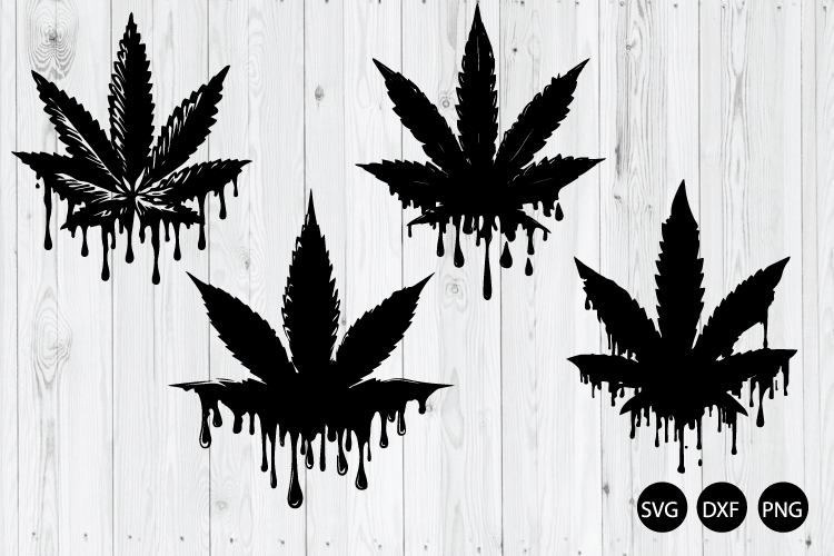 Dripping Cannabis Leaf SVG, Marijuana SVG, Cannabis SVG