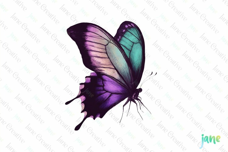 Butterfly Drawing Image 7