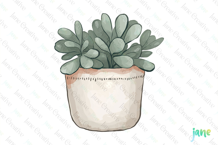 Garden Illustrations Image 12
