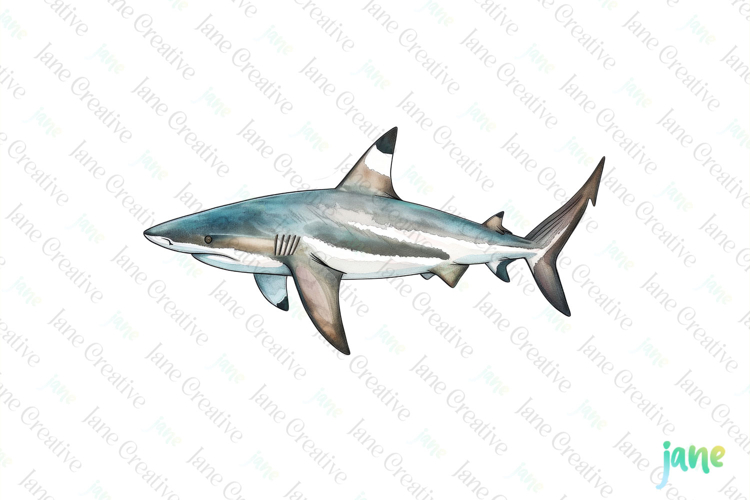 Sharks Clipart Image 20