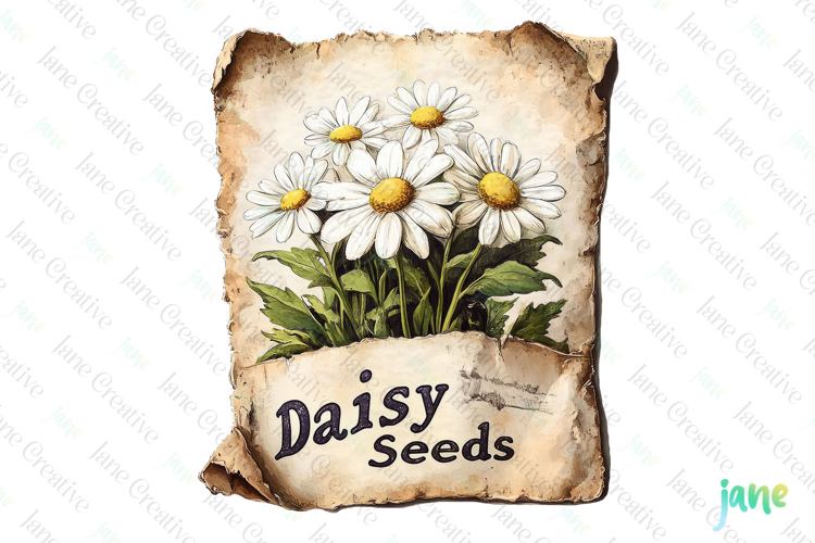 Marigold Seeds Vintage Flowers Clipart Seed Packet