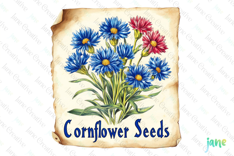Cornflower Seeds Vintage Flowers Clipart Seed Packet
