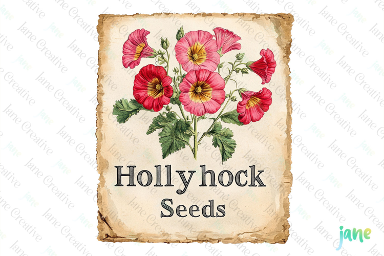 Hollyhock Seeds Vintage Flowers Clipart Seed Packet