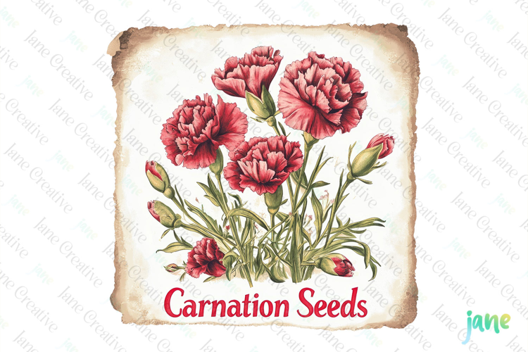 Carnation Seeds Vintage Flowers Clipart Seed Packet