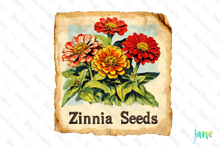 Zinnia Seeds Vintage Flowers Clipart Seed Packet