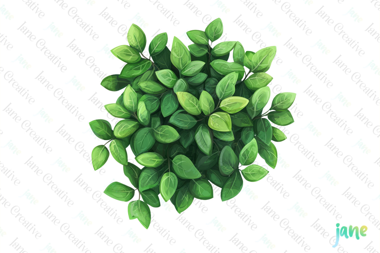 Watercolor Bushes Clipart Sublimation