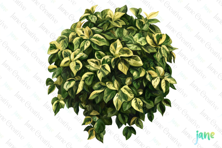 Watercolor Bushes Clipart Sublimation