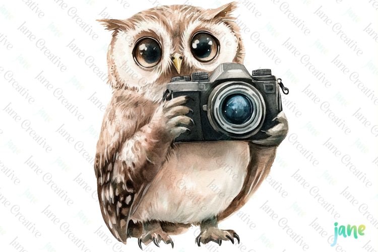 Owl Watercolor Cute Animals Photographer