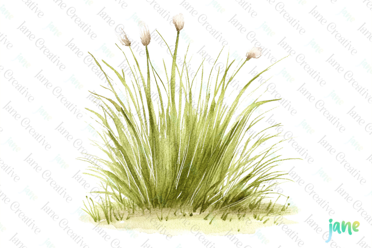 Watercolor Spring Clipart Sublimation