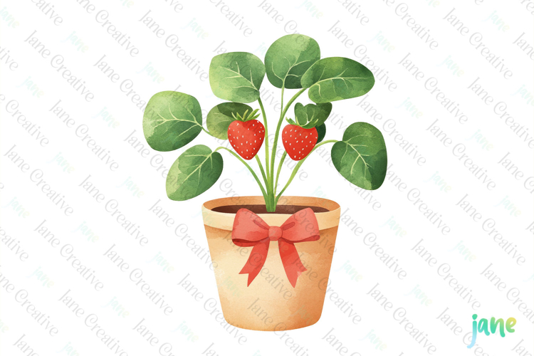 Strawberry Illustration Image 8