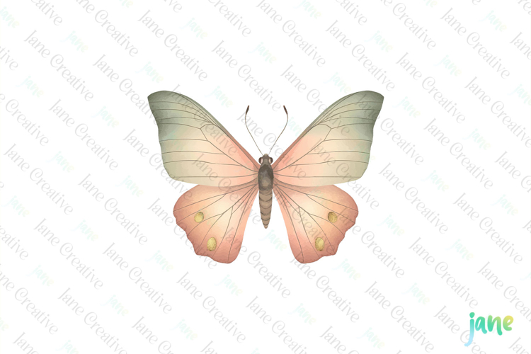 Cute Clipart Image 16