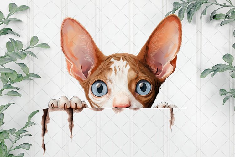 Kitten Clipart Image 9