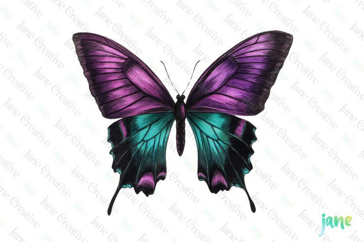 Purple Teal Hand Drawing Butterfly Clipart