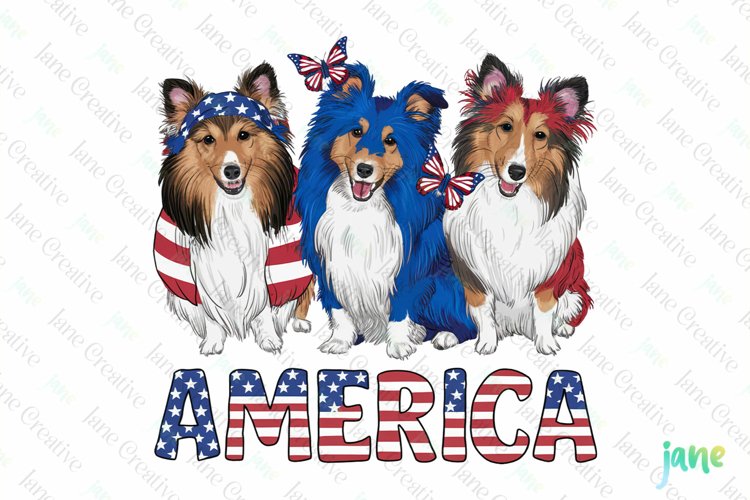 Canvas Clipart Image 14