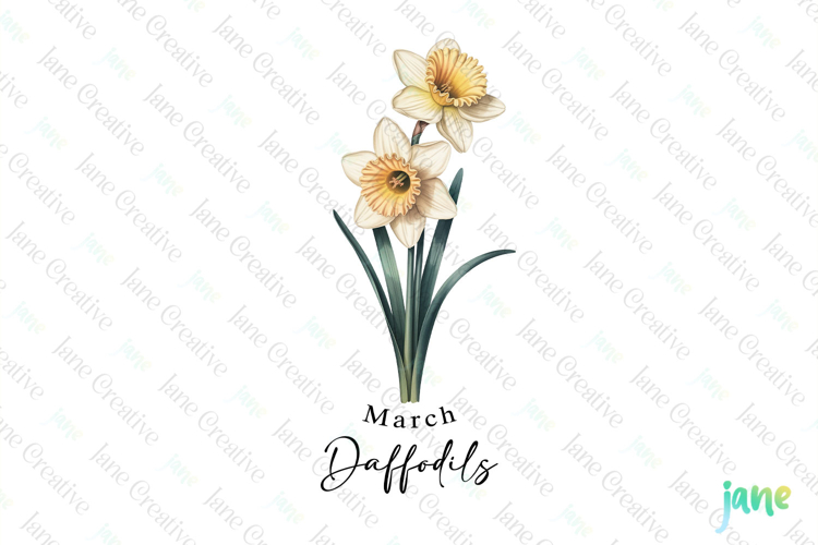 Daffodils Clipart Image 8