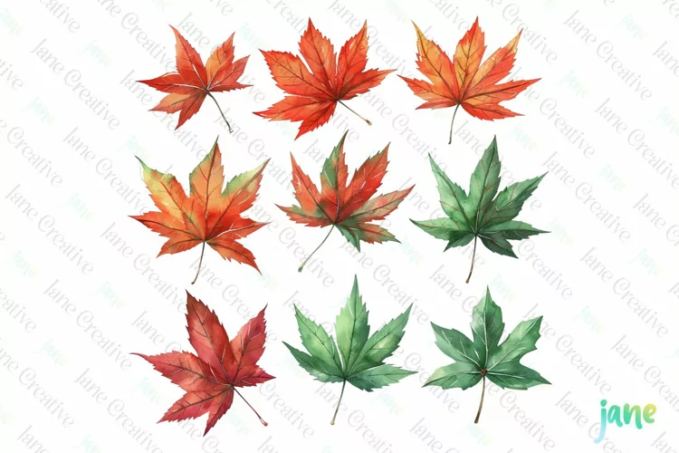 Watercolor Autumn Clipart Sublimation
