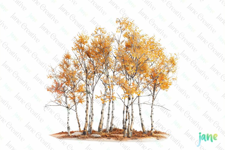 Canvas Clipart Image 9