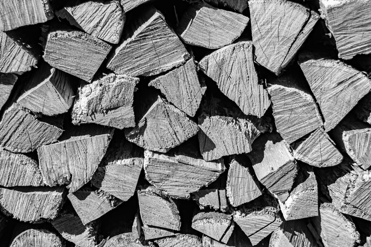 Beautiful wooden fracture old oak, natural texture close up