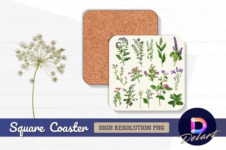 Wildflower Illustration Image 24