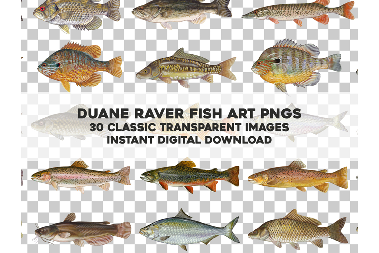 30 American Game Fish Transparent PNGs Bundle Duane Raver