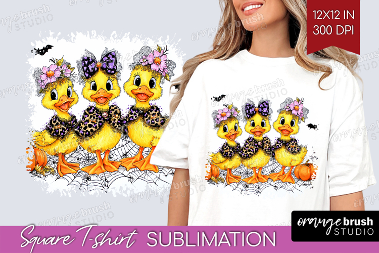Duck Png Image 20