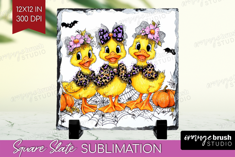 Duck Png Image 12