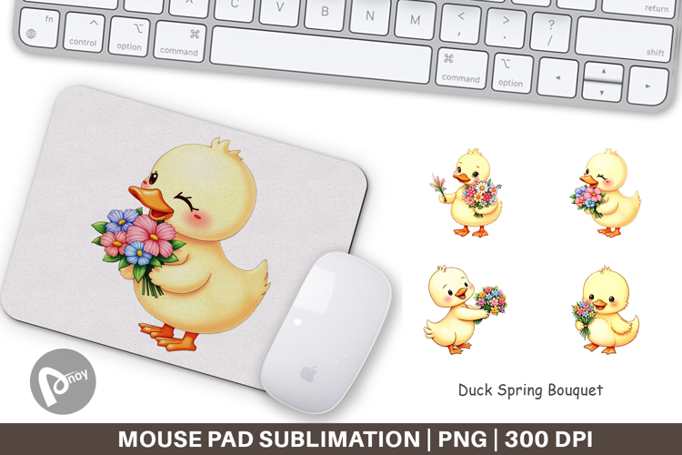 Duck Png Image 16