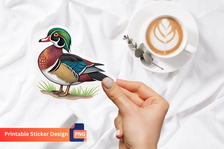 Duck Illustration Image 11