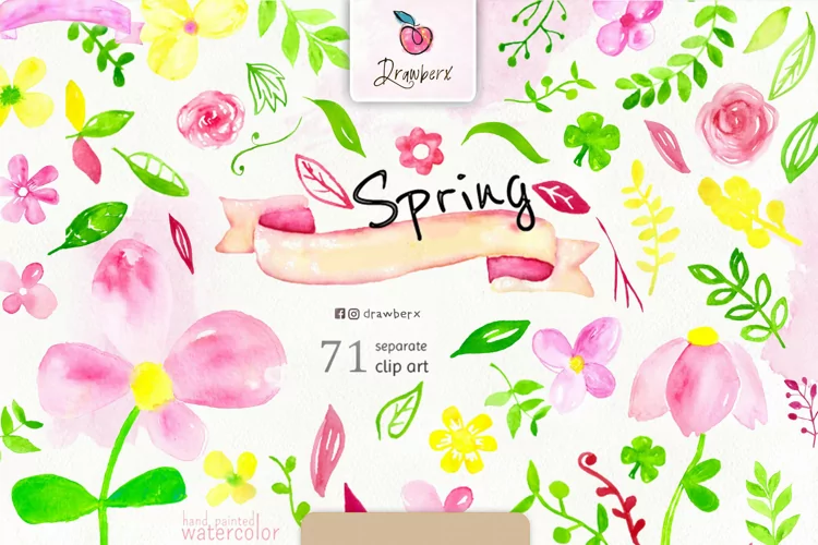 Watercolor Flowers, Hand-Painted, Spring Clipart, png DXx