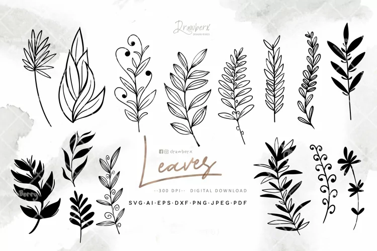 Leaf Branches Svg, Hand Drawn, cutfile design 013 DXx