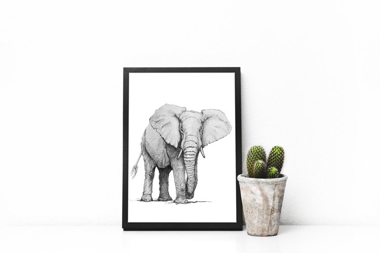 Hand drawn wild Elephant