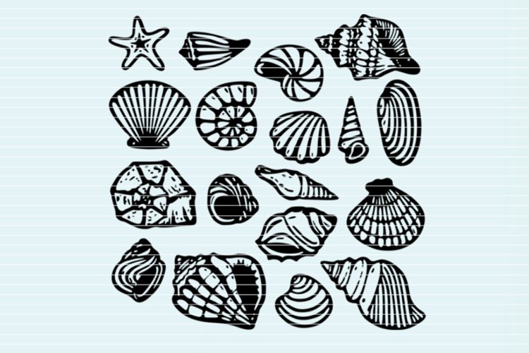 Shells SVG DXF EPS PDF PNG JPG example image 1