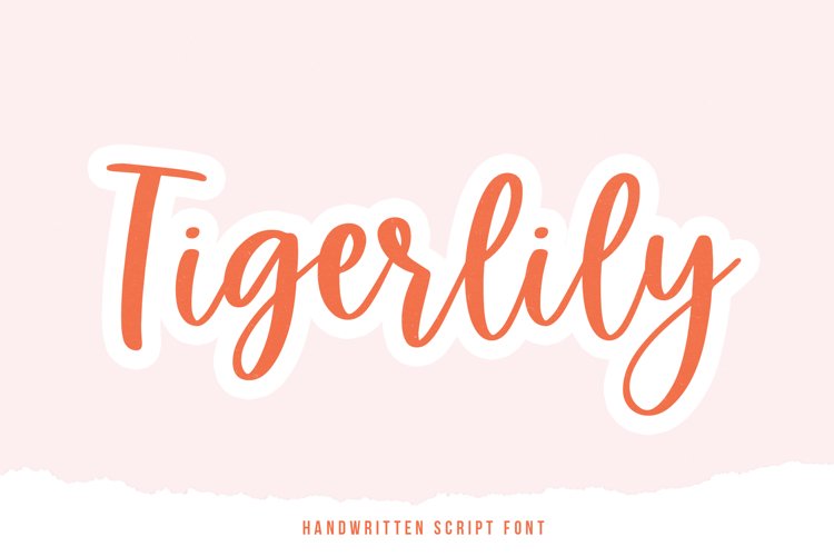 Tigerlily - A Handwritten Script Font example image 1