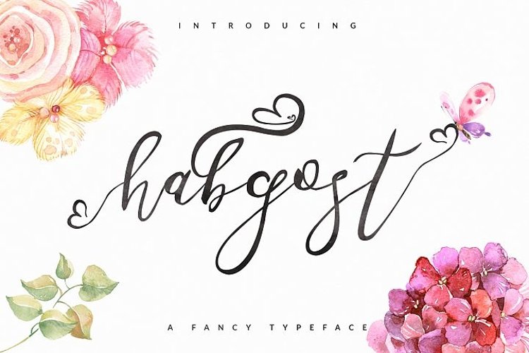 Habgost Script Lite example image 1