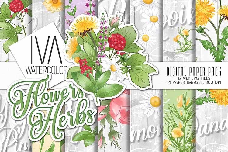 Flowers and herbs digital paper pack example image 1