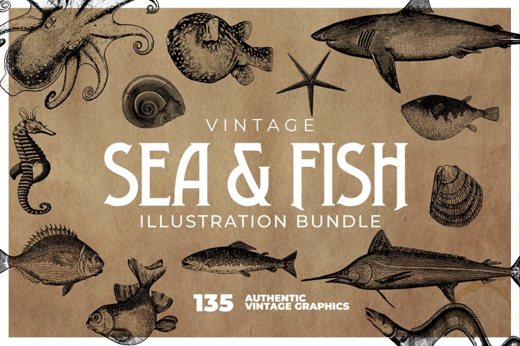 135 Sea Creatures and Fish Illustrations example image 1