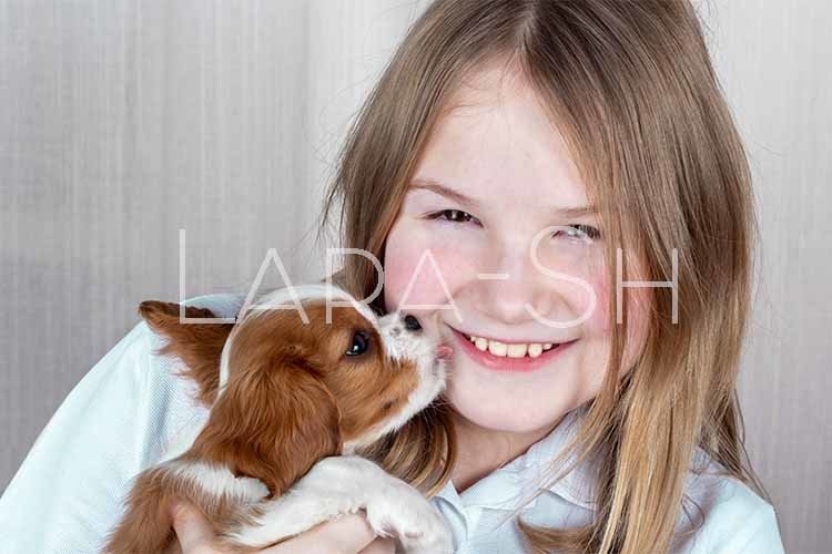 Cute purebred puppy licks face of happy young girl