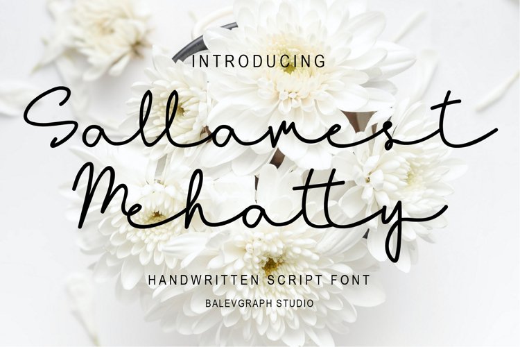 Sallamest Handwritten Script Font example image 1