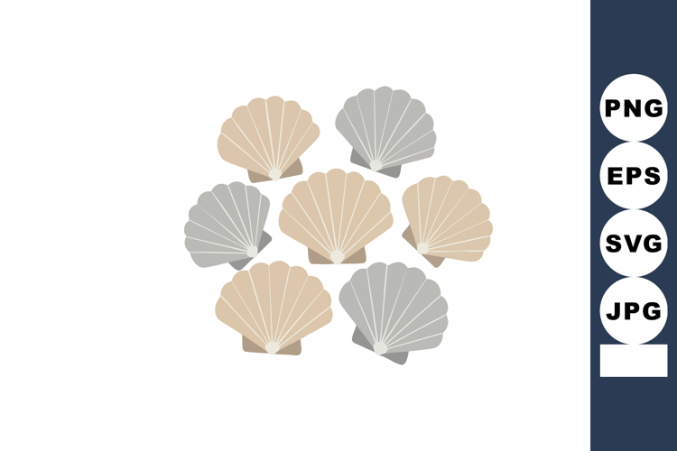 Seashell Vector Image 9