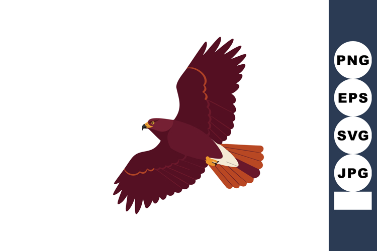Hawk Clipart Image 2