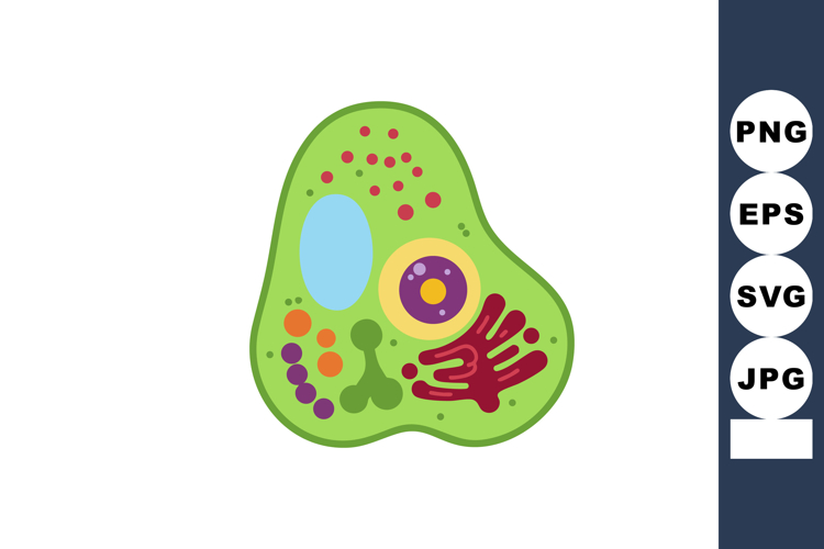 Plant Vector Image 4